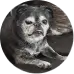 Phinished